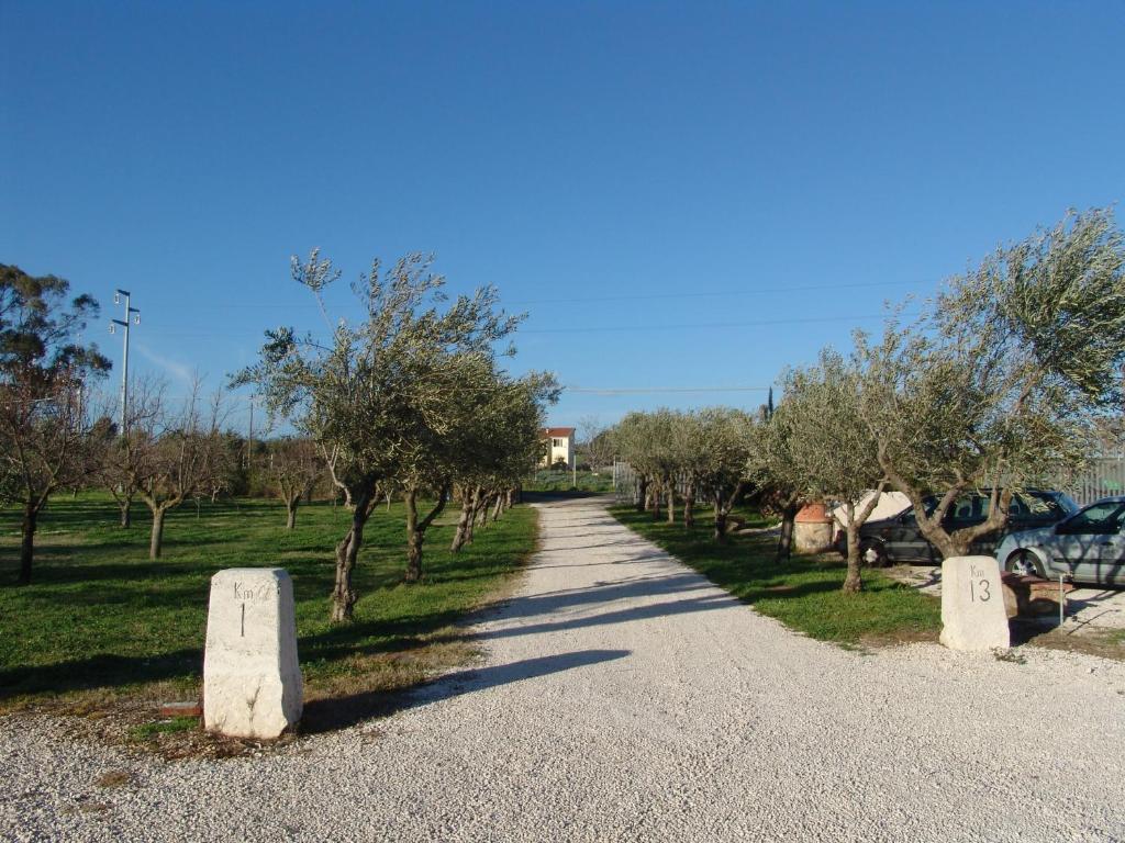 Podere 1248 Ladispoli Exterior foto