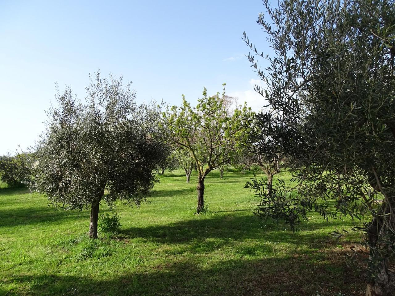 Podere 1248 Ladispoli Exterior foto